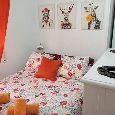 Apartamento Con Encanto 'Larios Studio' Apartment Malaga Exterior photo