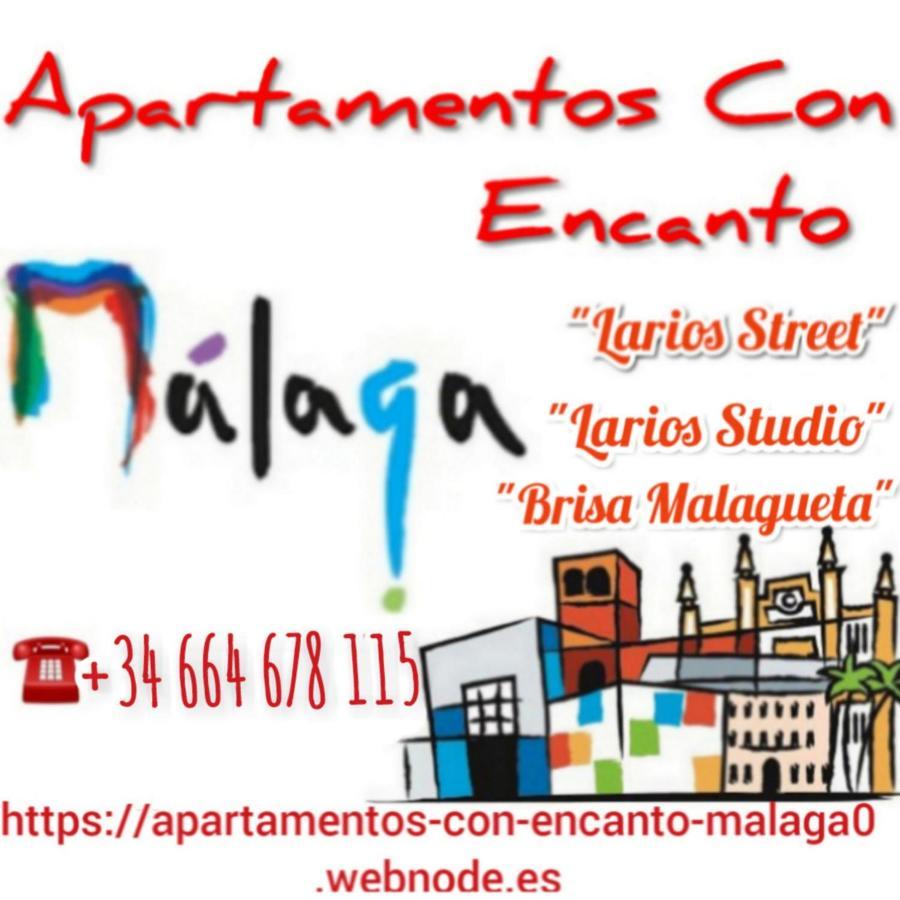 Apartamento Con Encanto 'Larios Studio' Apartment Malaga Exterior photo